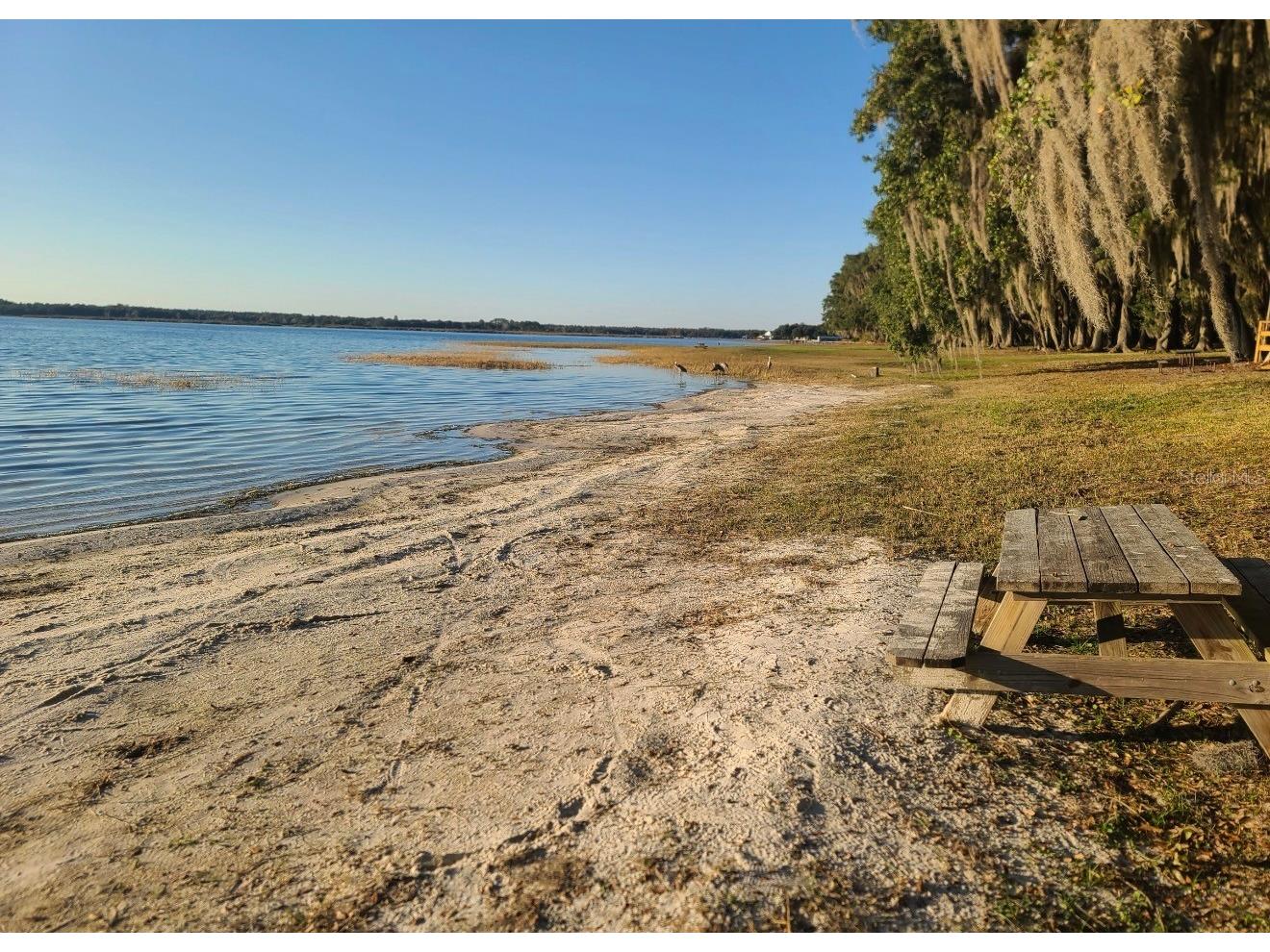 25205 NE 142nd Street Salt Springs FL 32134 G5104230 image23