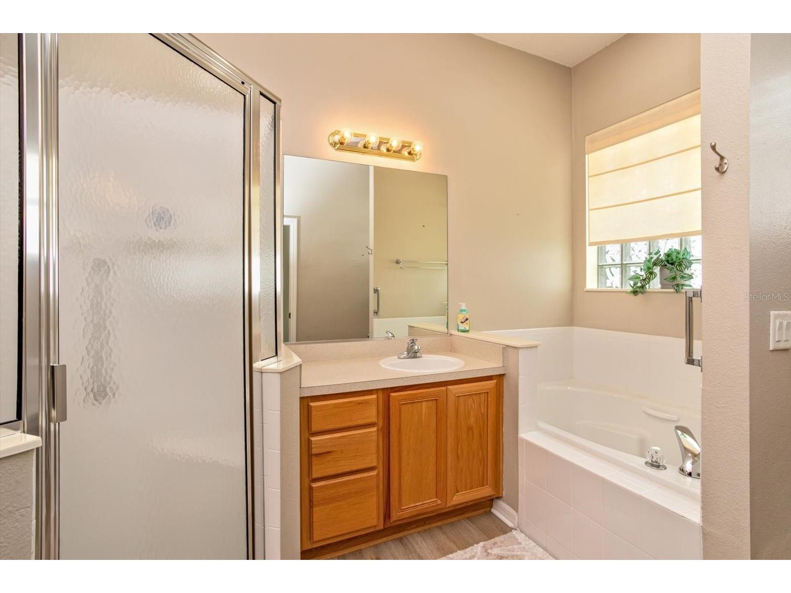 25206 Ormond Court Leesburg FL 34748 G5112456 image18
