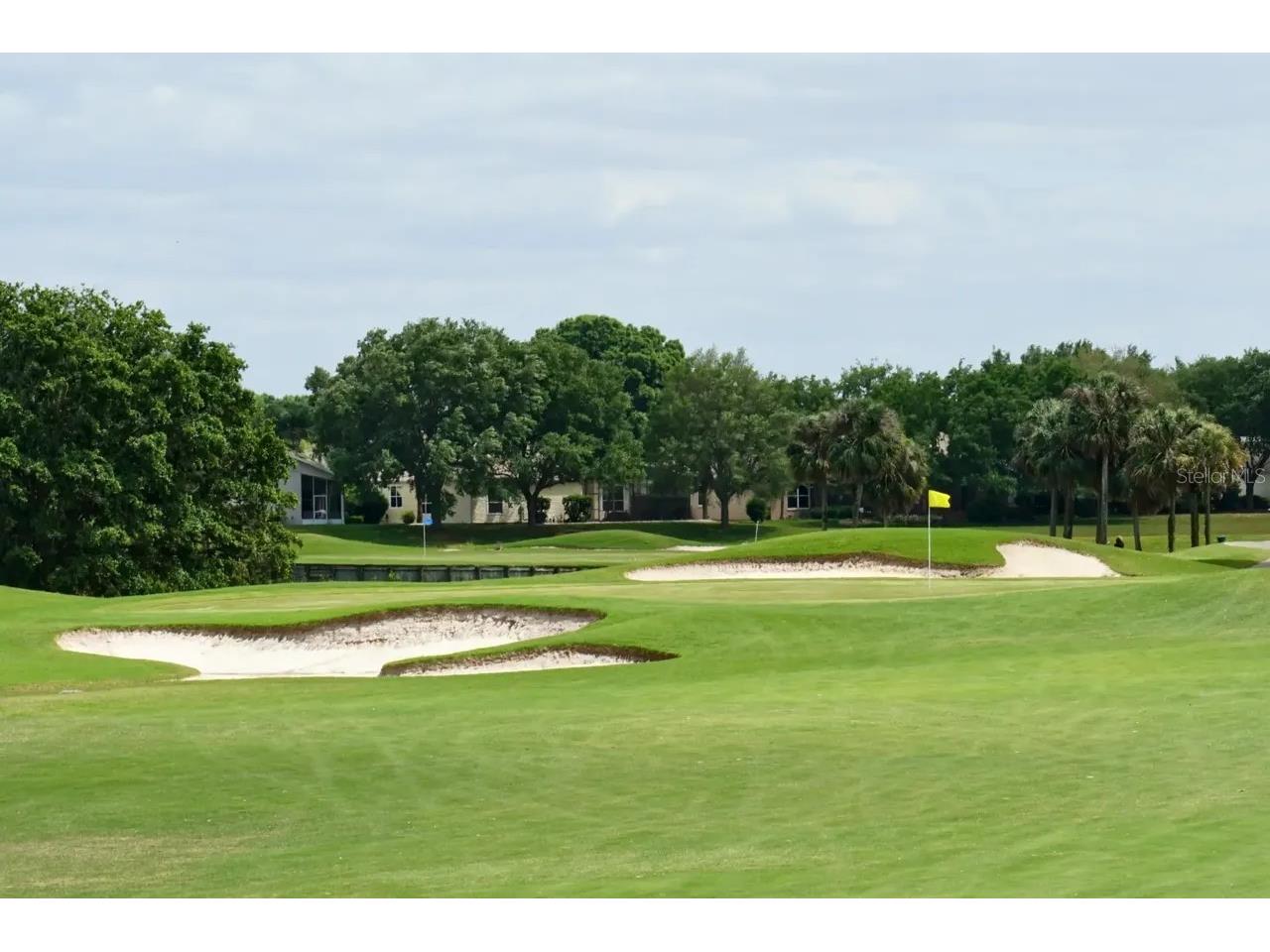 25206 Ormond Court Leesburg FL 34748 G5112456 image37