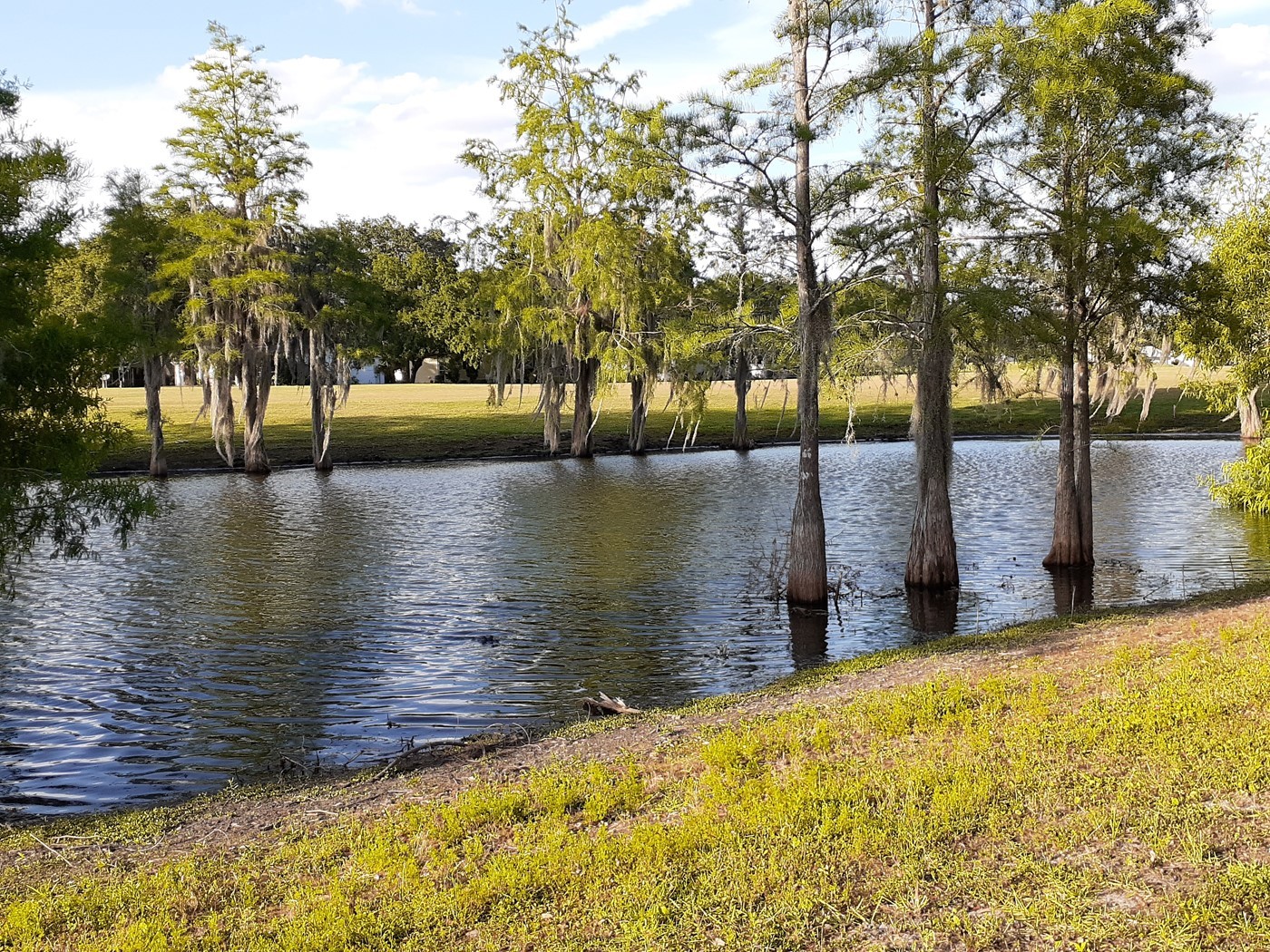 25206 Ormond Court Leesburg FL 34748 G5112456 image38