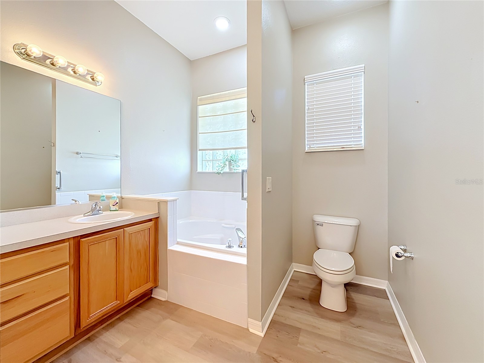 25206 Ormond Court Leesburg FL 34748 G5114850 image24