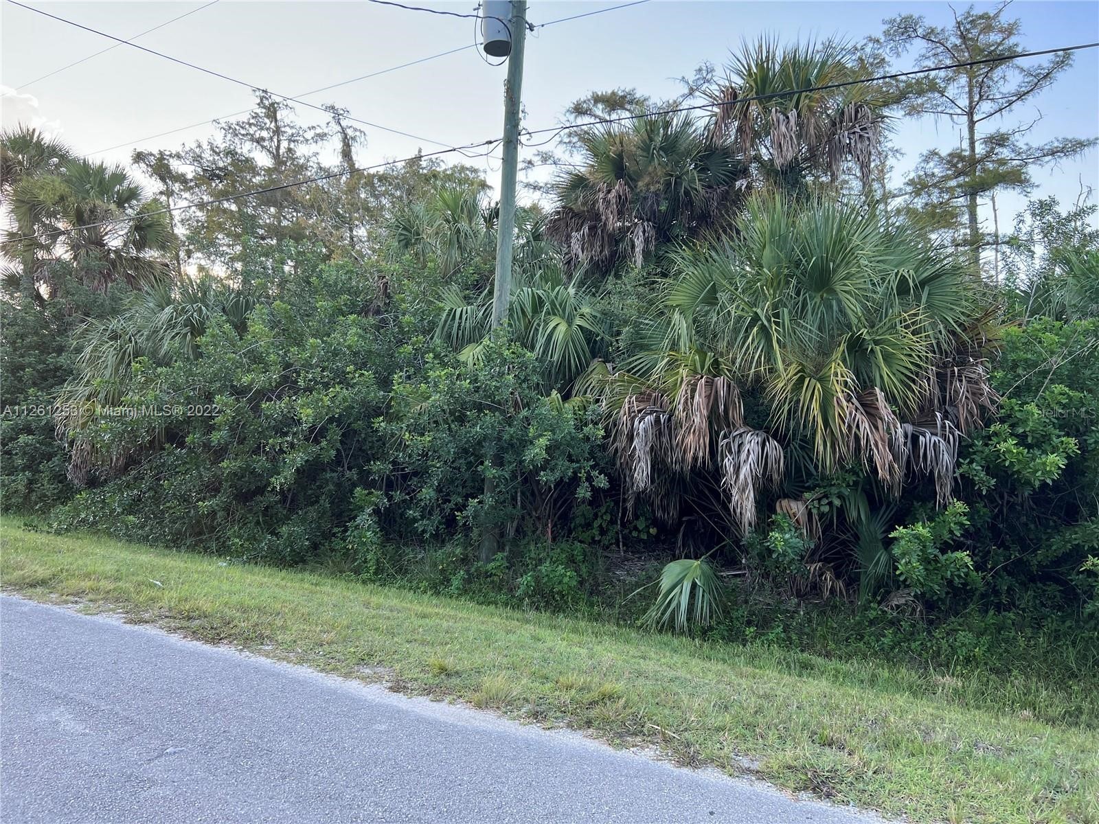2521 20th Avenue NE Naples FL 34120 O6379549 image1
