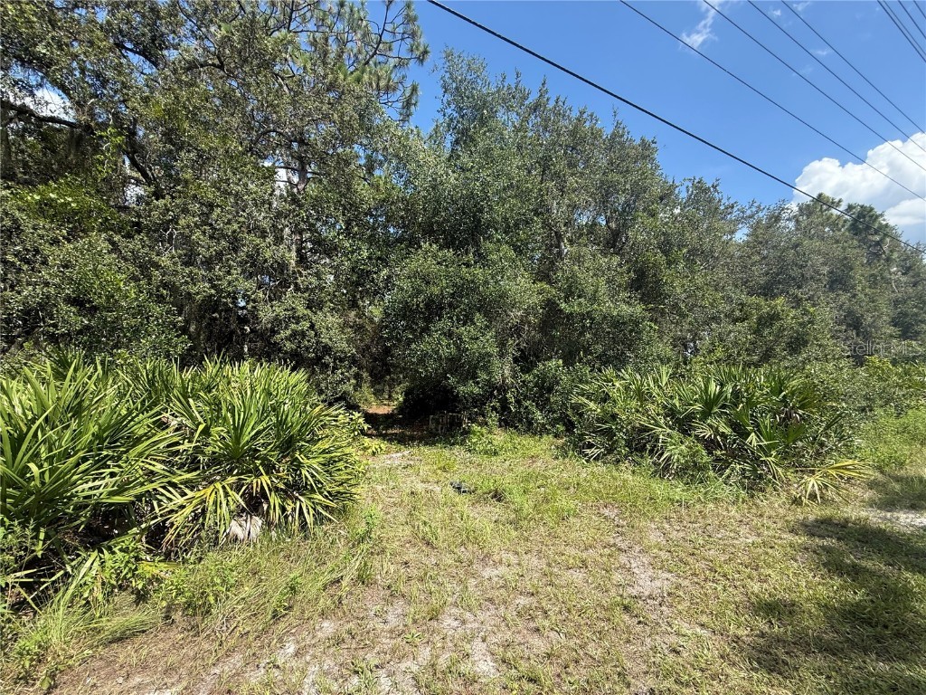 2521 Absher Road Saint Cloud FL 34771 S5132295 image18