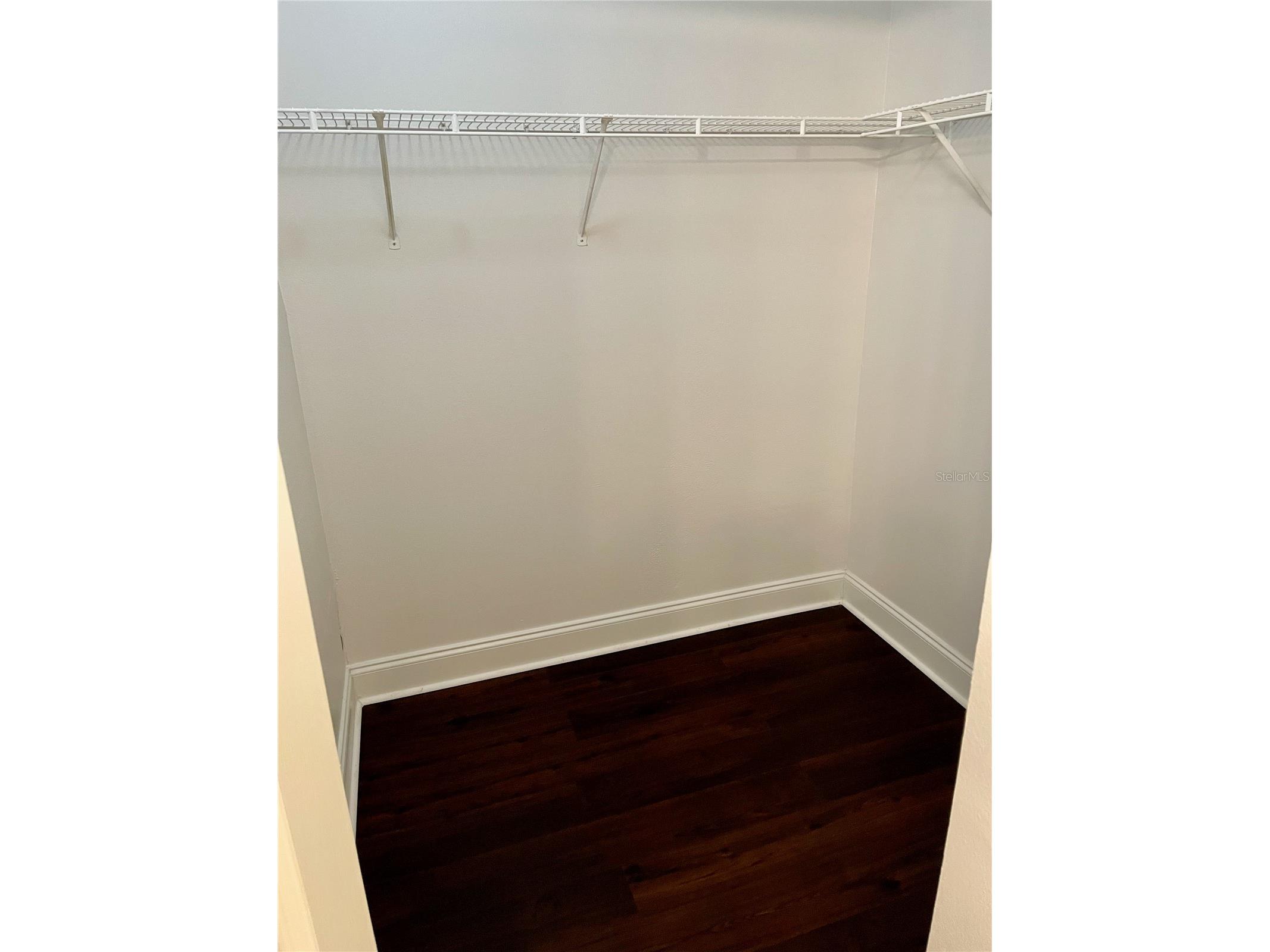 2521 Grassy Point Drive #101 Lake Mary FL 32746 O6389138 image10