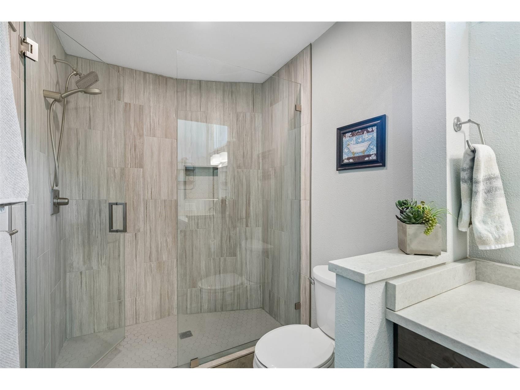 2521 Gulfbreeze Circle Palm Harbor FL 34683 TB8520362 image33
