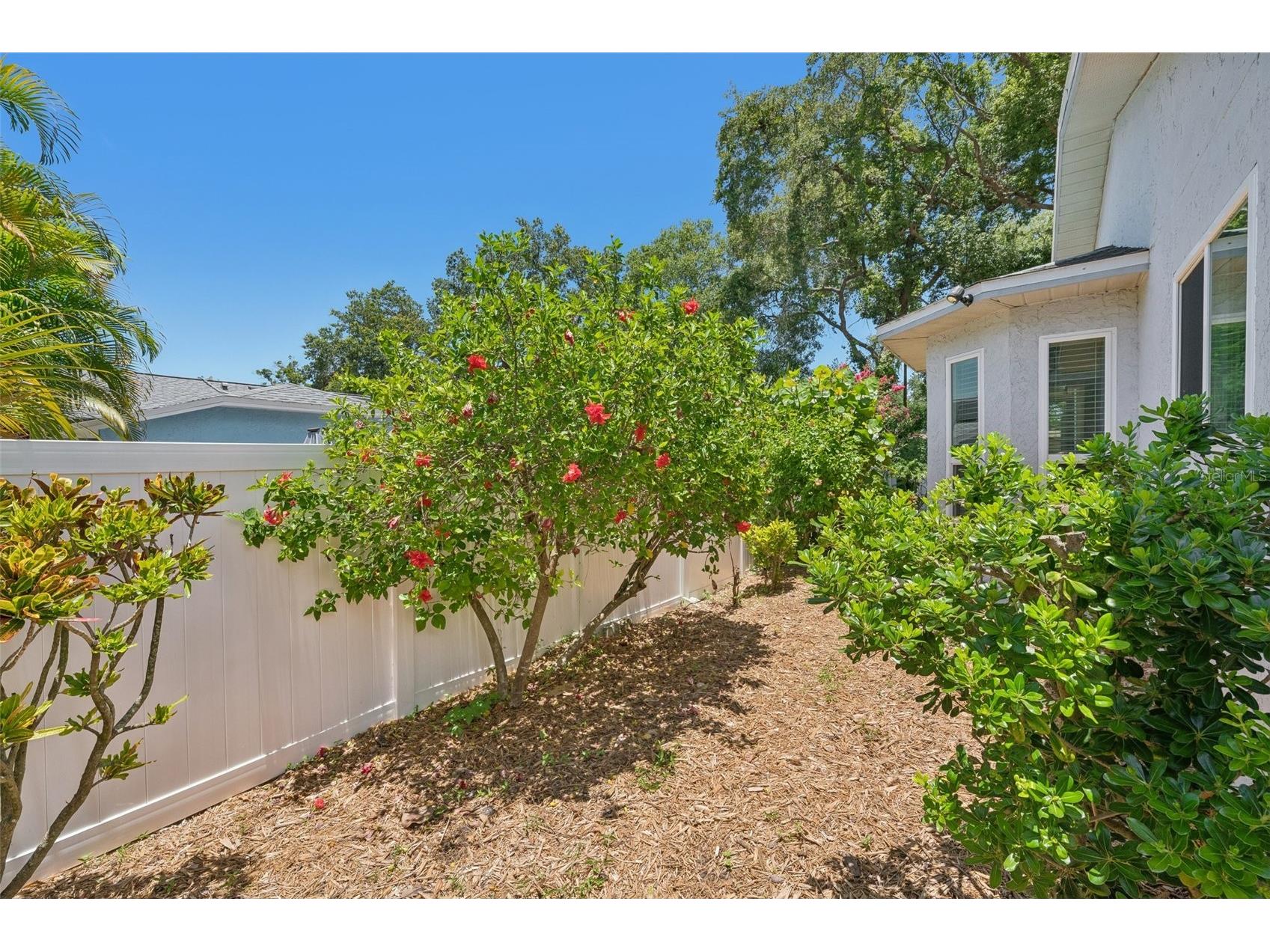 2521 Gulfbreeze Circle Palm Harbor FL 34683 TB8520362 image50