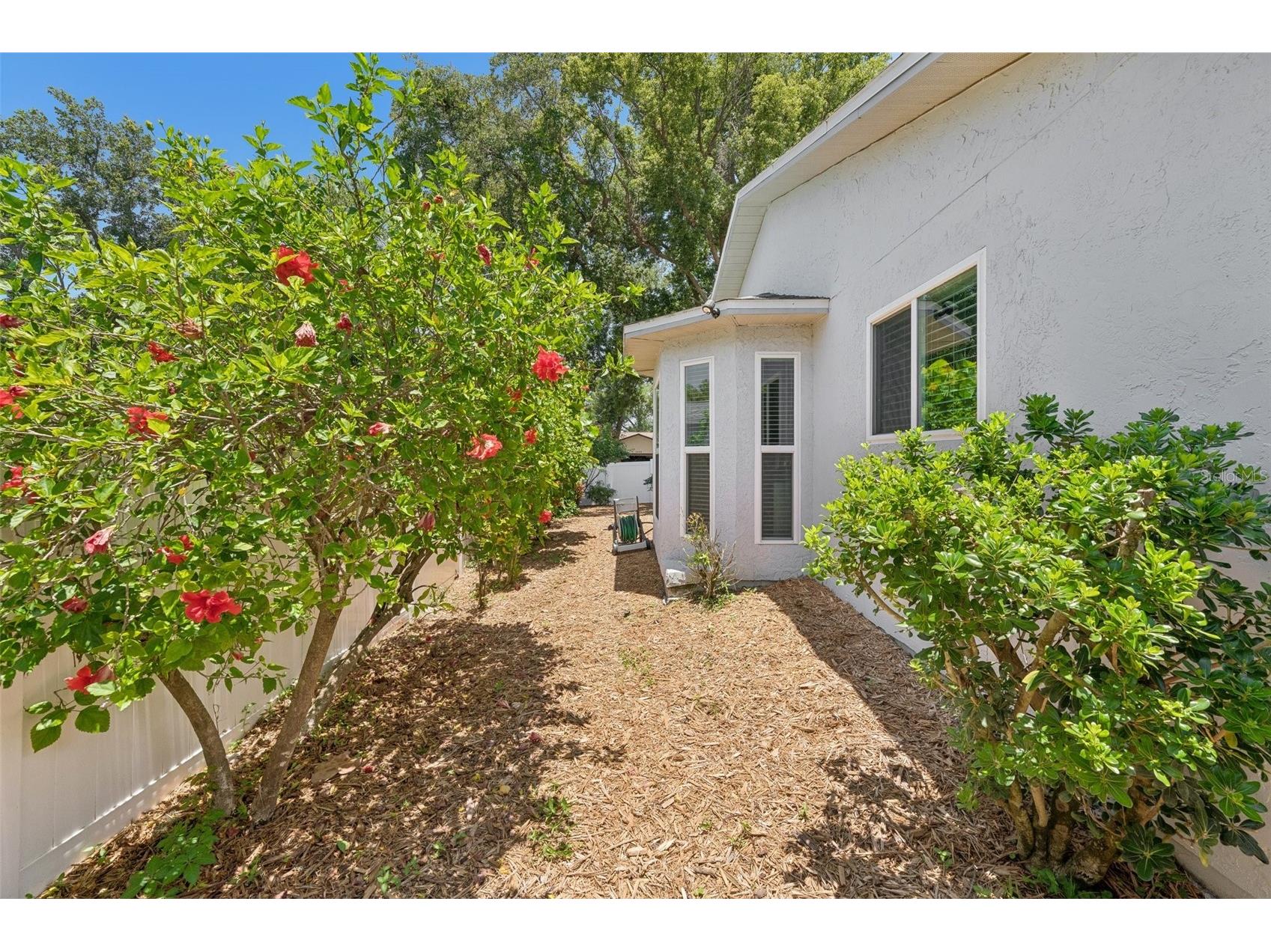 2521 Gulfbreeze Circle Palm Harbor FL 34683 TB8520362 image51