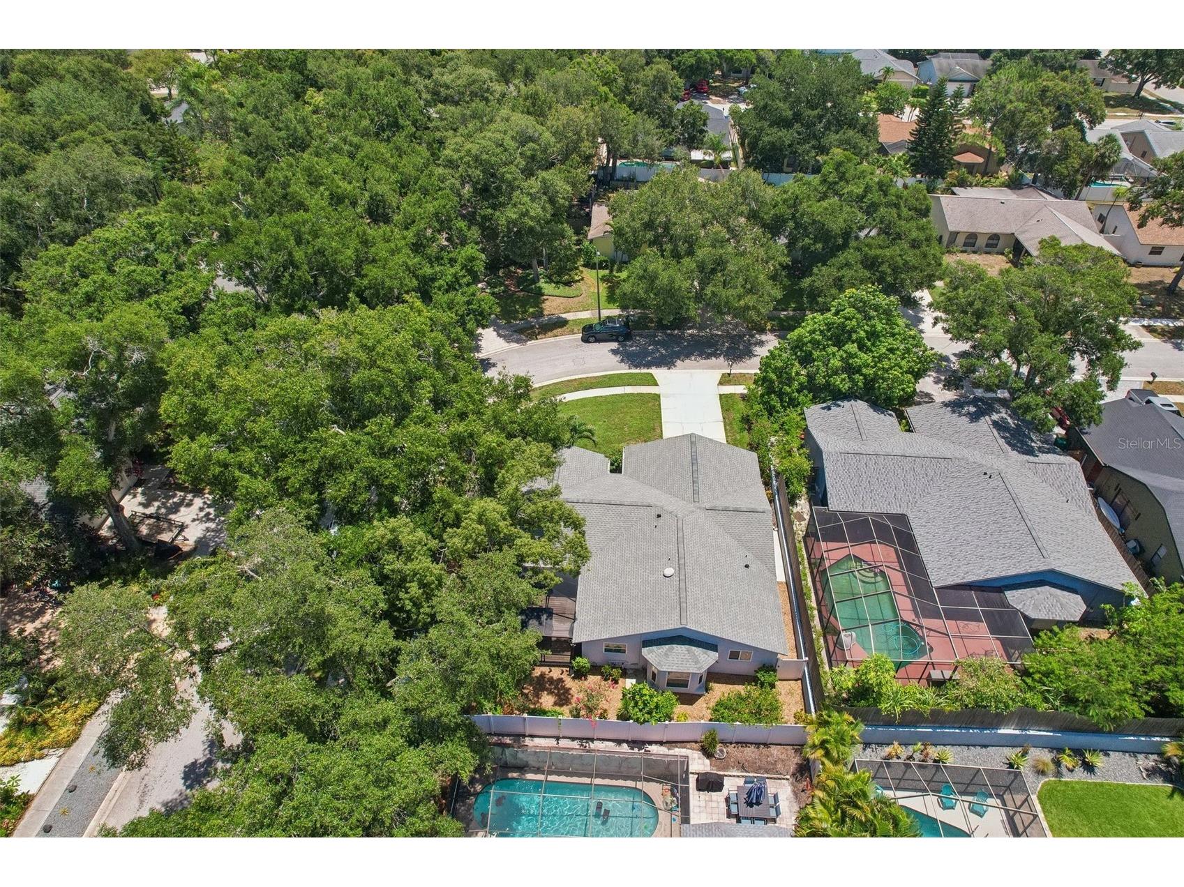 2521 Gulfbreeze Circle Palm Harbor FL 34683 TB8520362 image69