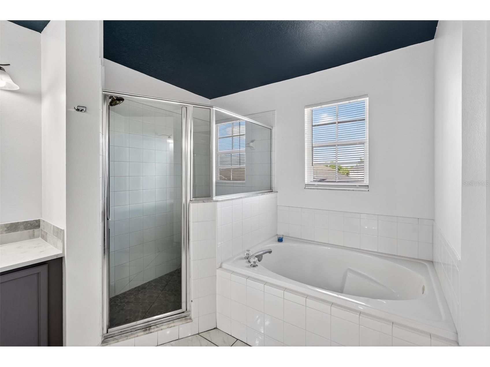 2521 Jasmine Trace Drive Kissimmee FL 34758 S5146483 image29