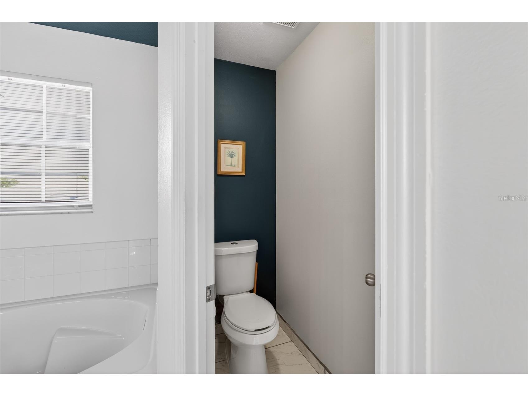 2521 Jasmine Trace Drive Kissimmee FL 34758 S5146483 image30