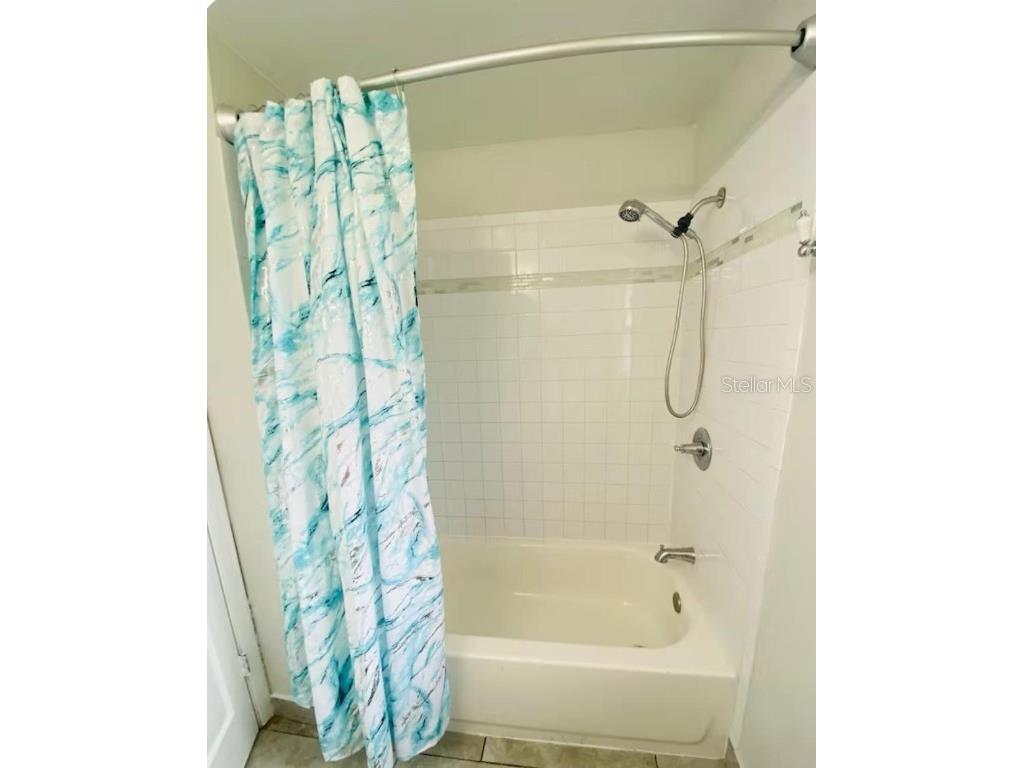 2521 Lorraine St Tampa FL 33614 TB8451361 image12