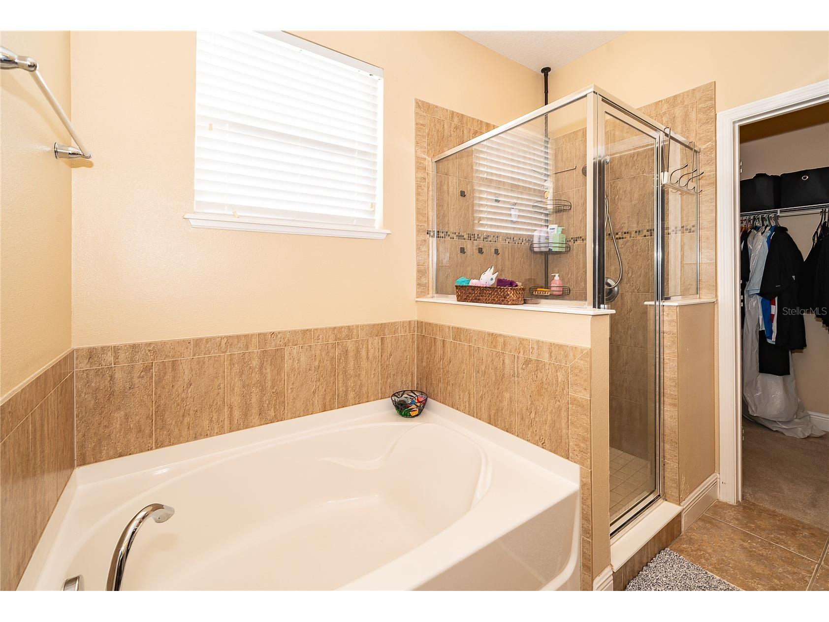 2521 Marshfield Preserve Way Kissimmee FL 34746 S5148608 image21
