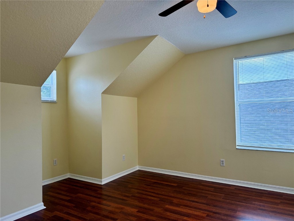 2521 Maylin Drive Trinity FL 34655 TB8455719 image21