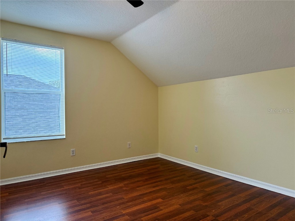 2521 Maylin Drive Trinity FL 34655 TB8455719 image23