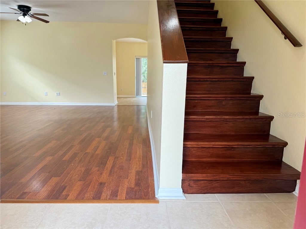 2521 Maylin Drive Trinity FL 34655 TB8455719 image4