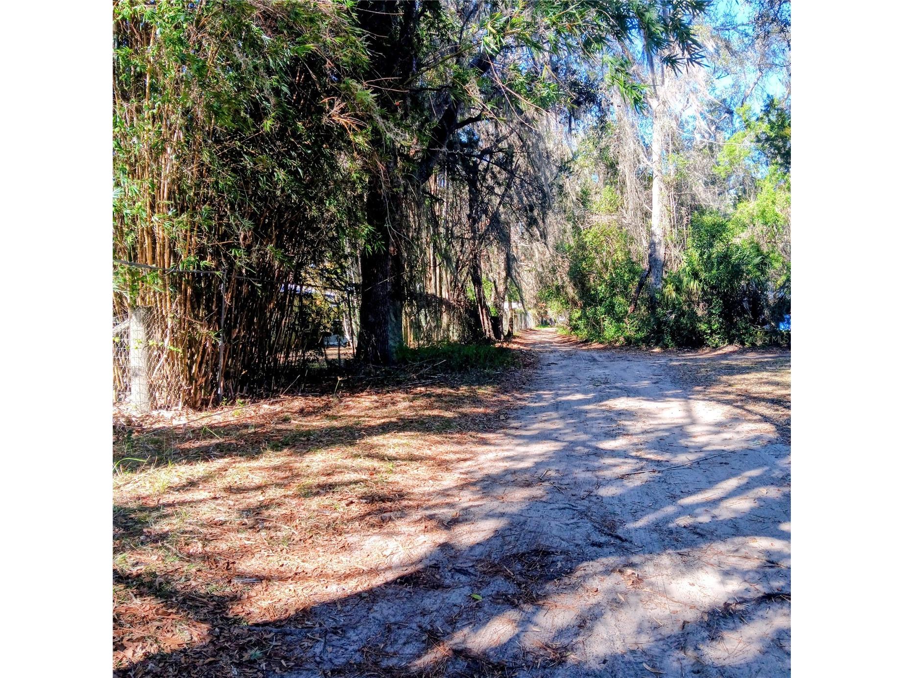 25210 NE 133rd Street Fort Mc Coy FL 32134 O6330423 image11