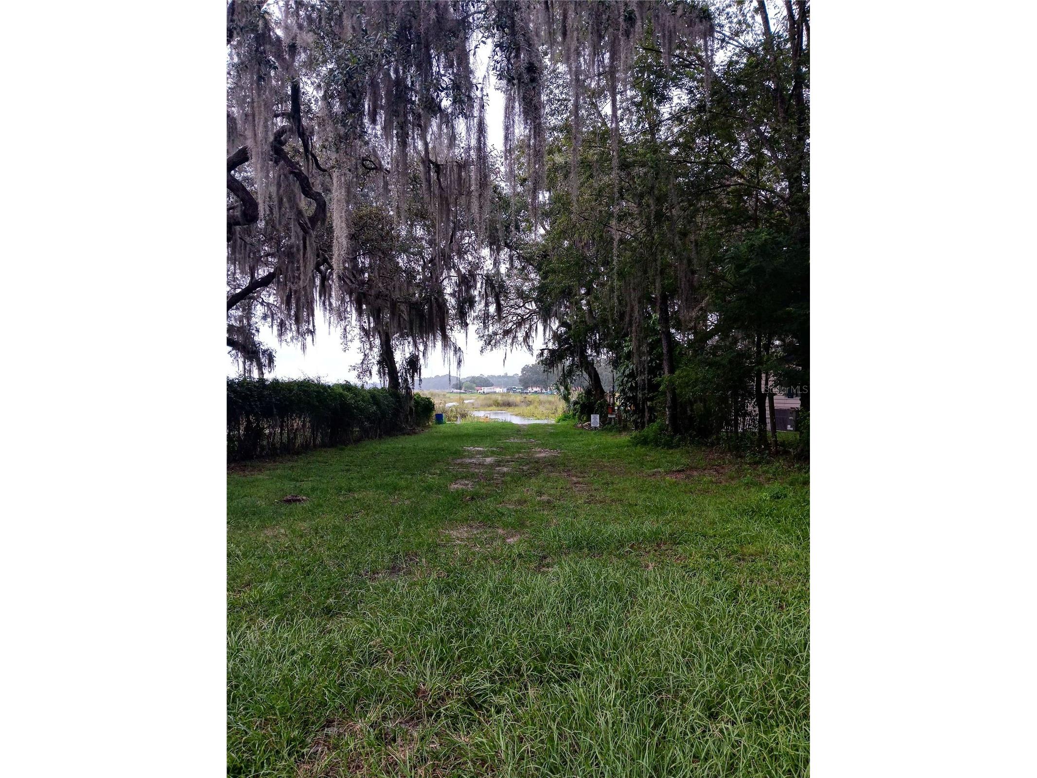 25210 NE 133rd Street Fort Mc Coy FL 32134 O6330423 image30