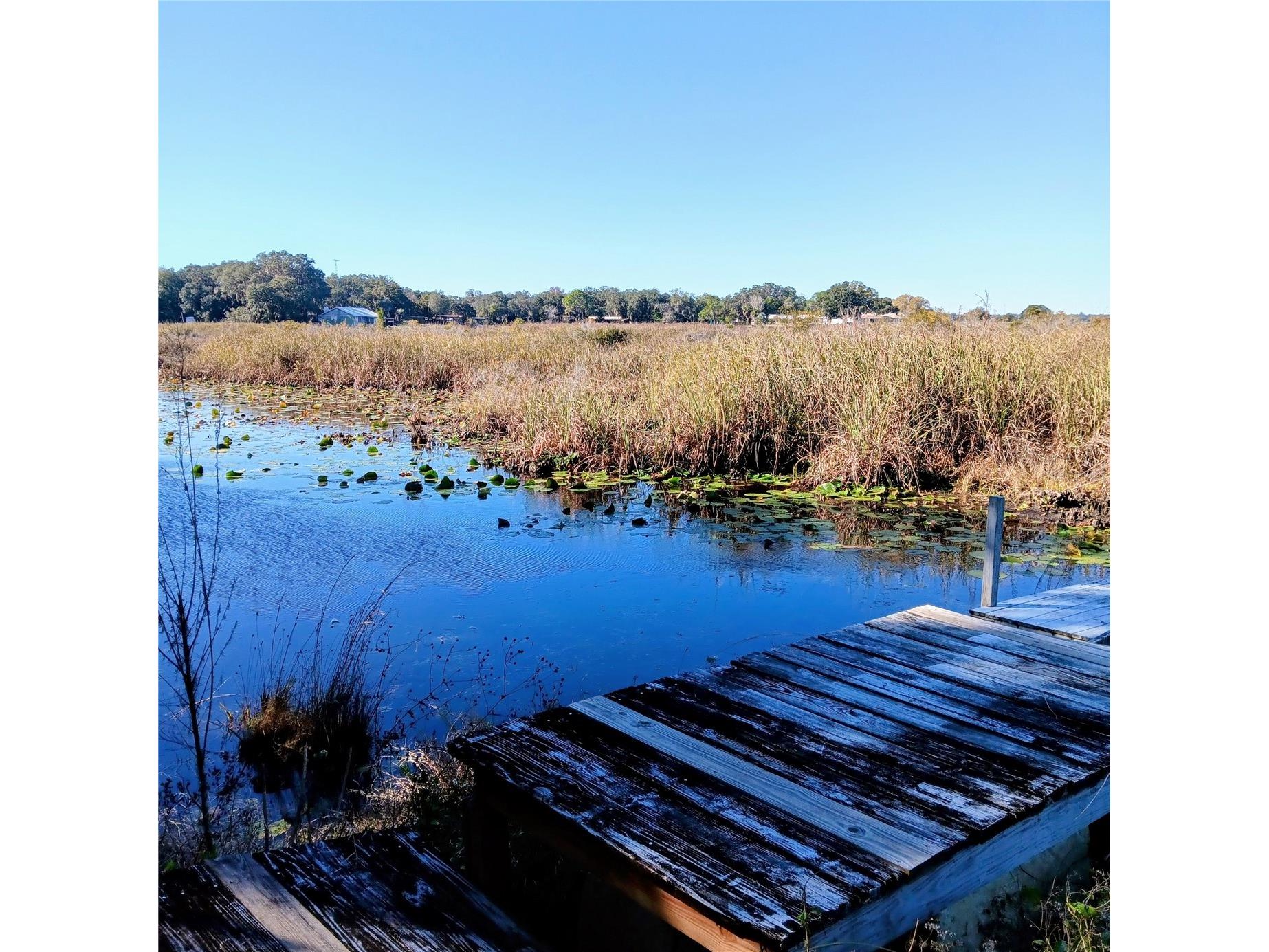 25210 NE 133rd Street Fort Mc Coy FL 32134 O6330423 image33