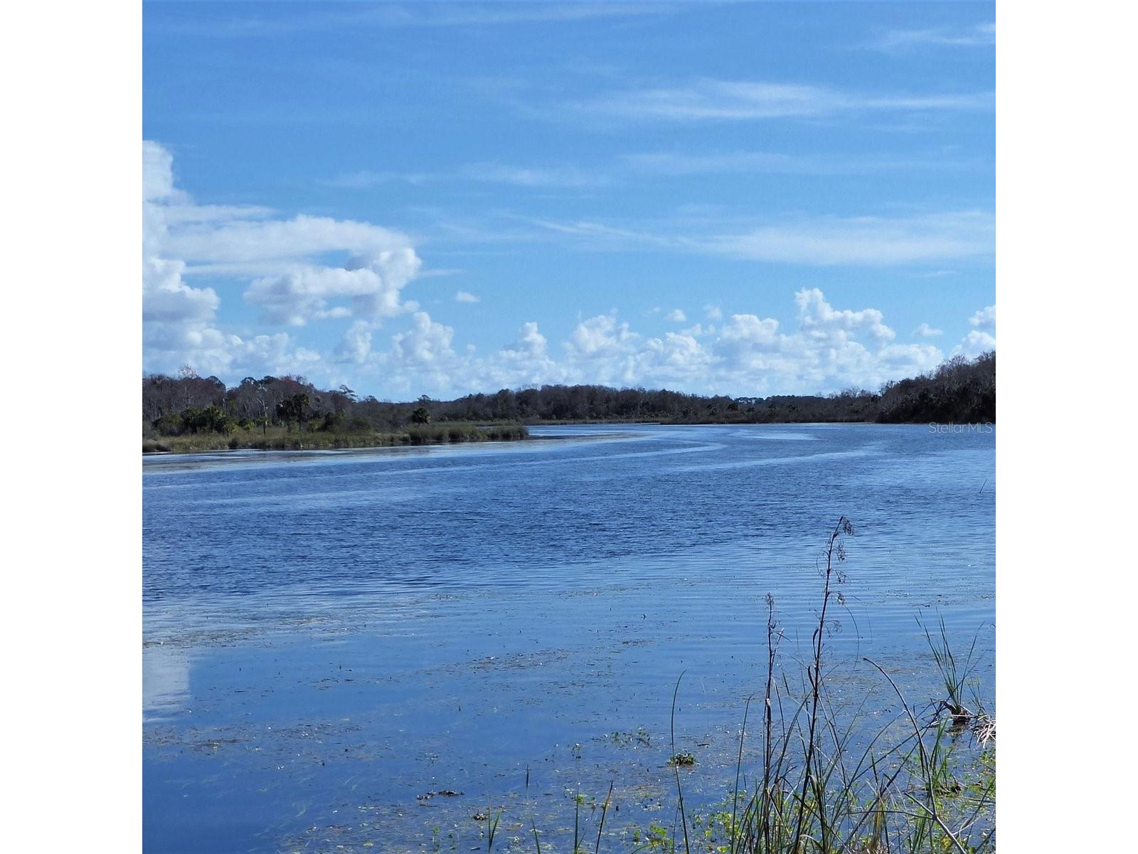 25210 NE 133rd Street Fort Mc Coy FL 32134 O6330423 image35