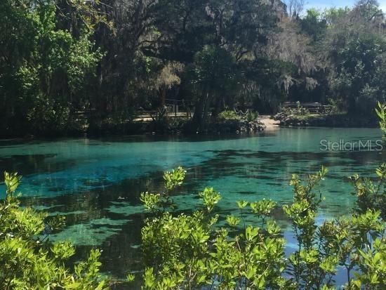 25210 NE 133rd Street Fort Mc Coy FL 32134 O6330423 image36