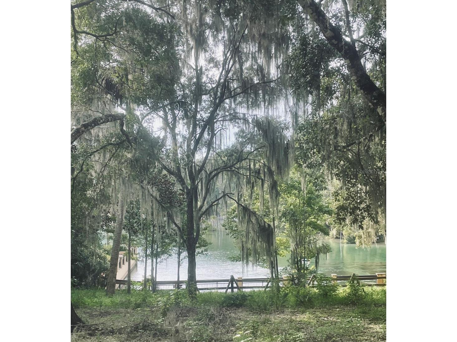 25210 NE 133rd Street Fort Mc Coy FL 32134 O6330423 image37