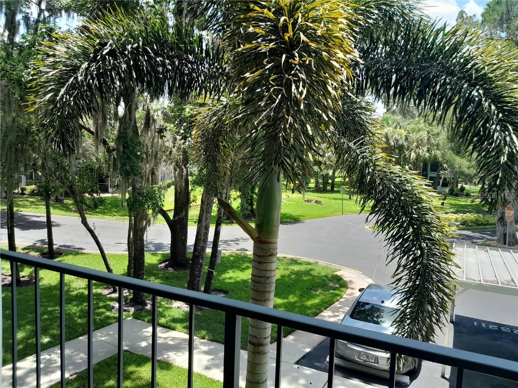 25210 Northlake Drive #210 Sanford FL 32773 - LAKE MINNIE O6315908 image4