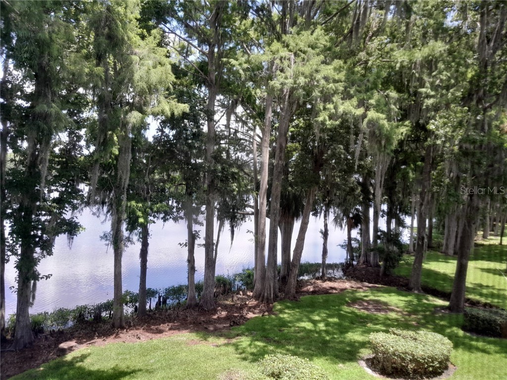 25210 Northlake Drive #210 Sanford FL 32773 - LAKE MINNIE O6315908 image48