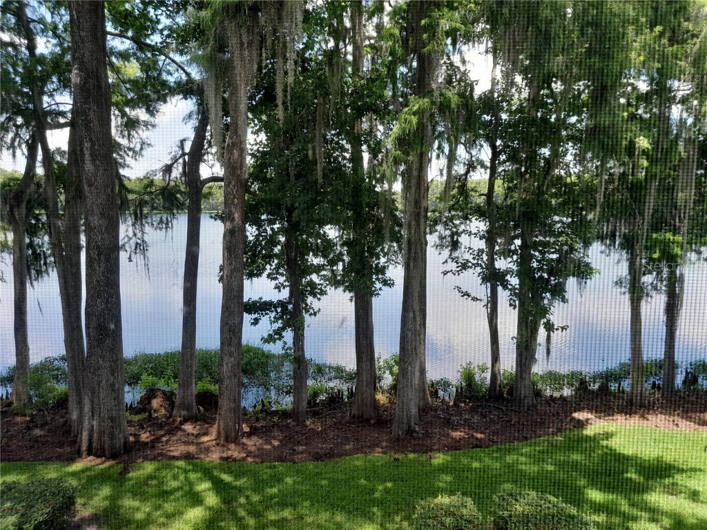 25210 Northlake Drive #210 Sanford FL 32773 - LAKE MINNIE O6315908 image49