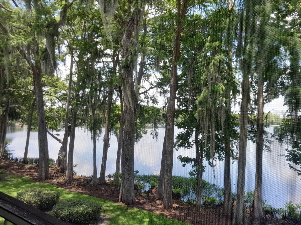 25210 Northlake Drive #210 Sanford FL 32773 - LAKE MINNIE O6315908 image50