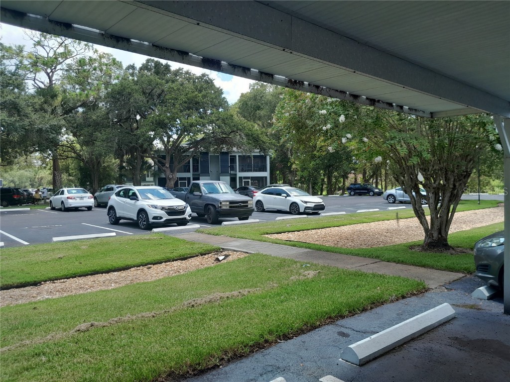 25210 Northlake Drive #210 Sanford FL 32773 - LAKE MINNIE O6315908 image55