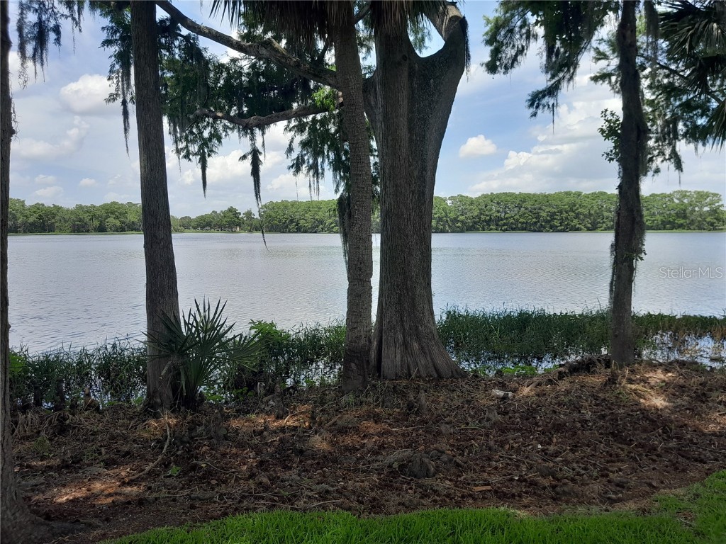 25210 Northlake Drive #210 Sanford FL 32773 - LAKE MINNIE O6315908 image68