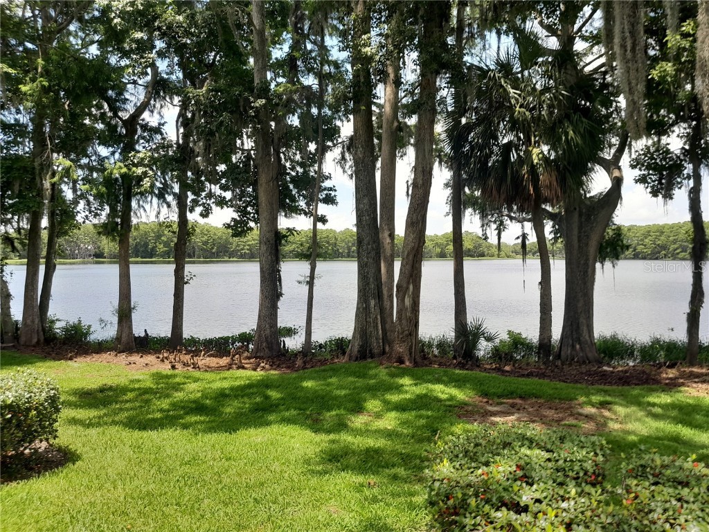 25210 Northlake Drive #210 Sanford FL 32773 - LAKE MINNIE O6315908 image69