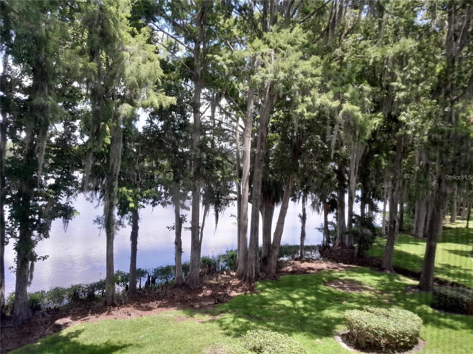 25210 Northlake Drive #210 Sanford FL 32773 - LAKE MINNIE O6370781 image22