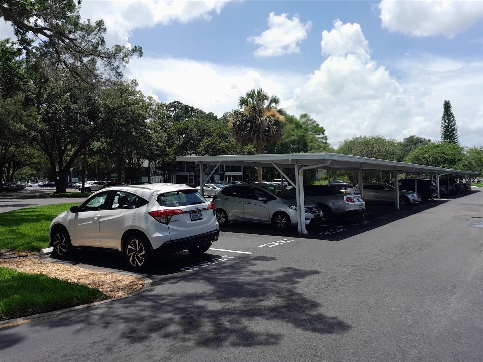 25210 Northlake Drive #210 Sanford FL 32773 - LAKE MINNIE O6370781 image24