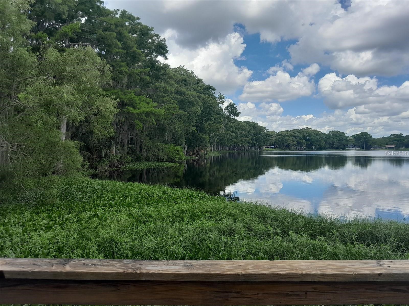 25210 Northlake Drive #210 Sanford FL 32773 - LAKE MINNIE O6370781 image33