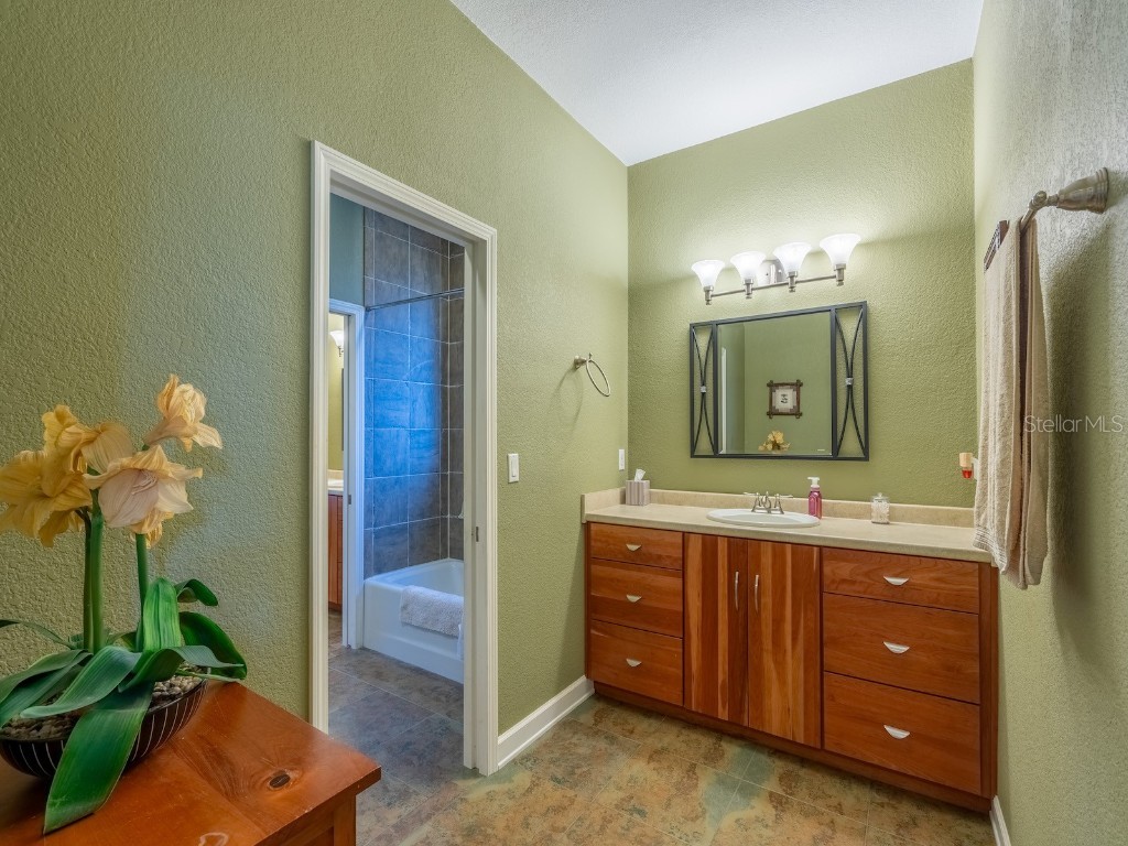 25212 E Highway 316 Salt Springs FL 32134 - LITTLE LAKE KERR OM709648 image28