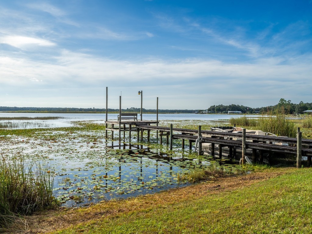 25212 E Highway 316 Salt Springs FL 32134 - LITTLE LAKE KERR OM709648 image44