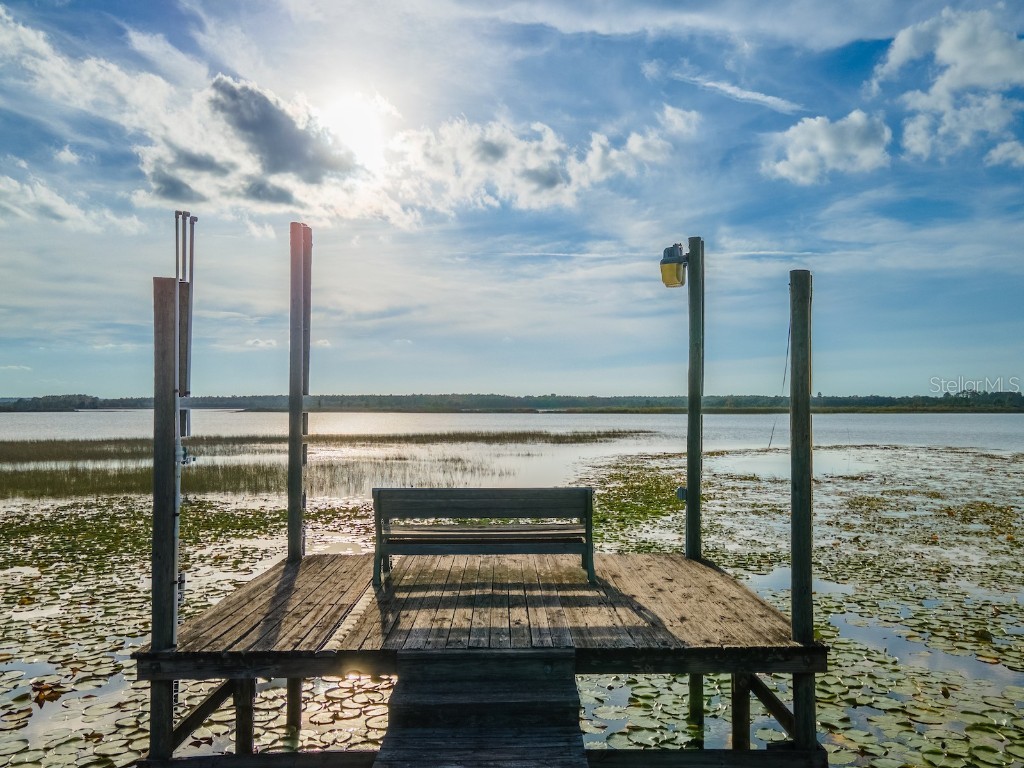 25212 E Highway 316 Salt Springs FL 32134 - LITTLE LAKE KERR OM709648 image45