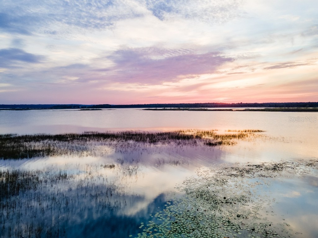 25212 E Highway 316 Salt Springs FL 32134 - LITTLE LAKE KERR OM709648 image6