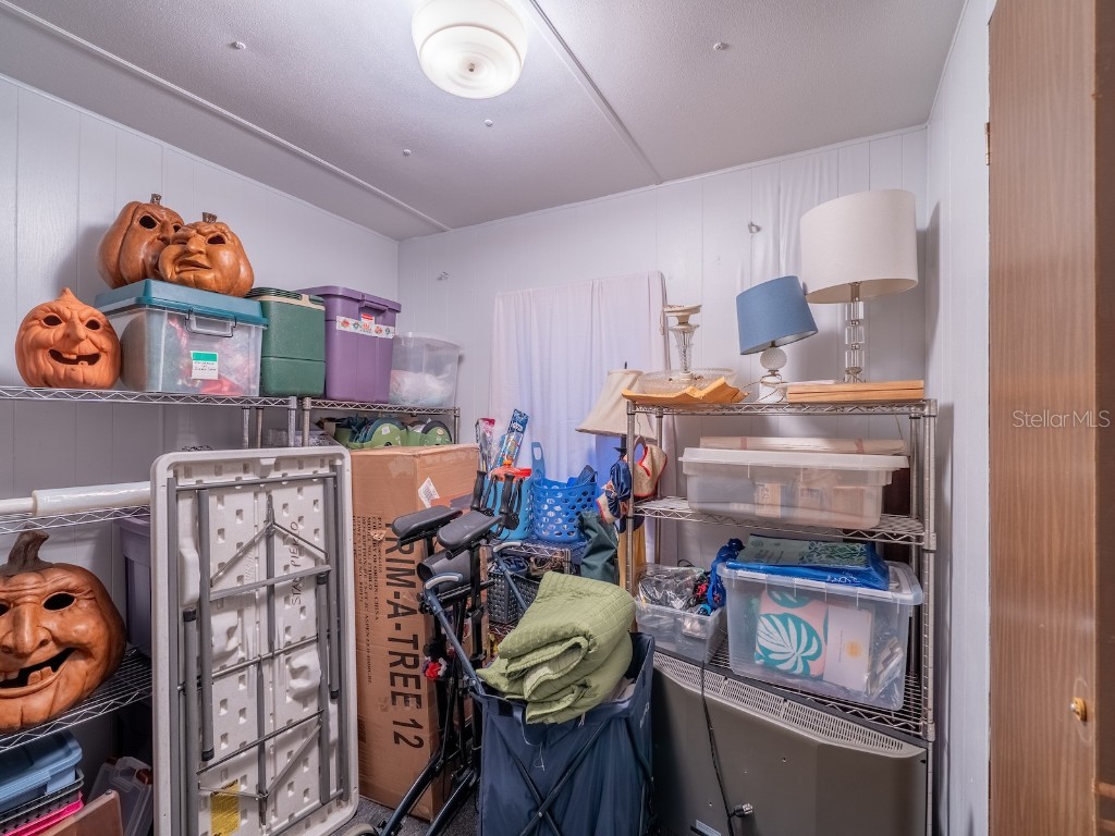 25212 E Highway 316 Salt Springs FL 32134 - LITTLE LAKE KERR OM709648 image63