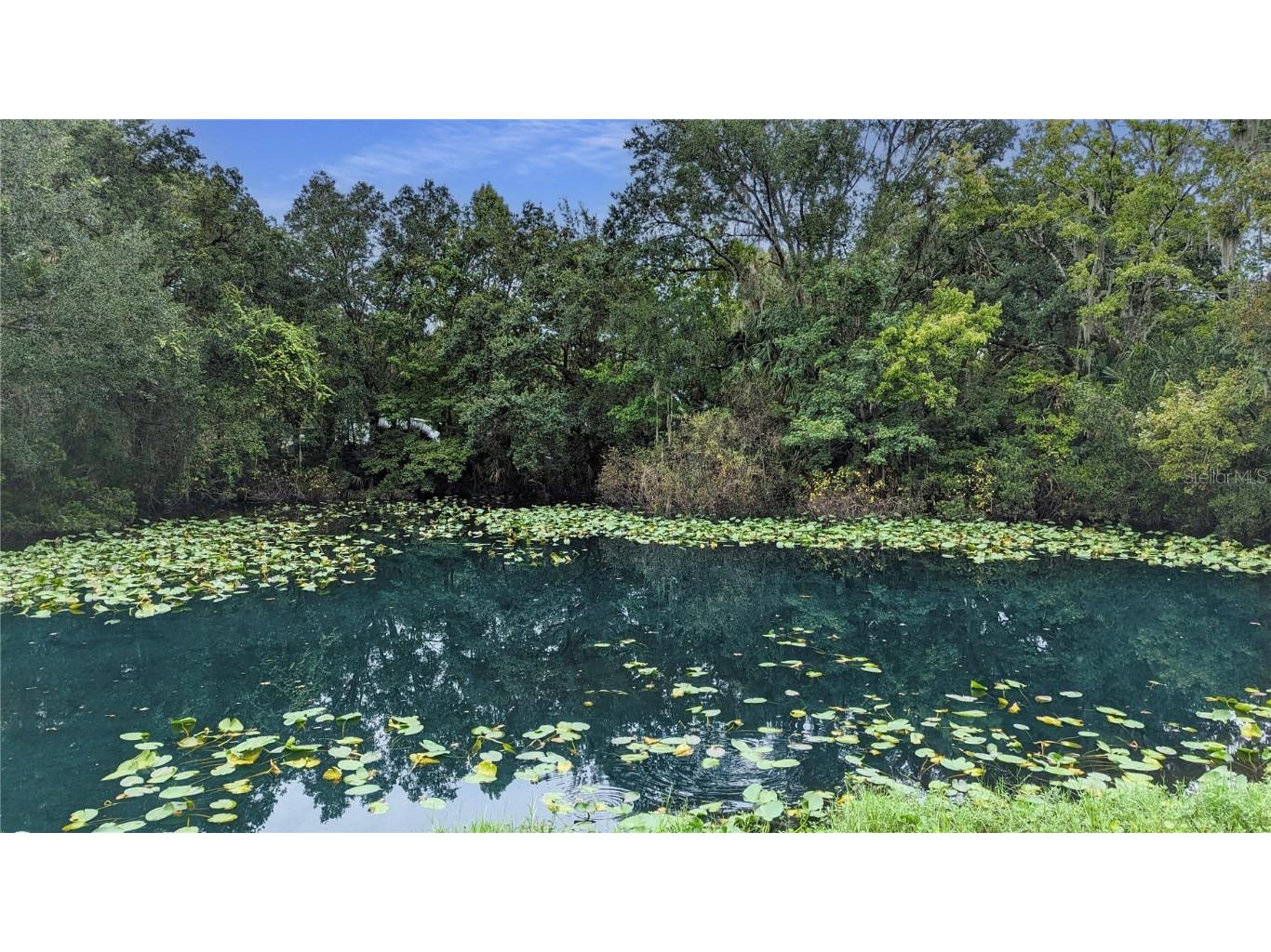 25212 Luke Street Christmas FL 32709 O6343358 image11