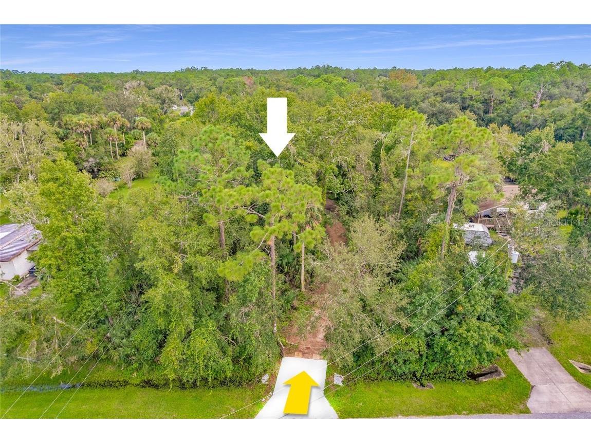 25212 Luke Street Christmas FL 32709 O6343358 image3