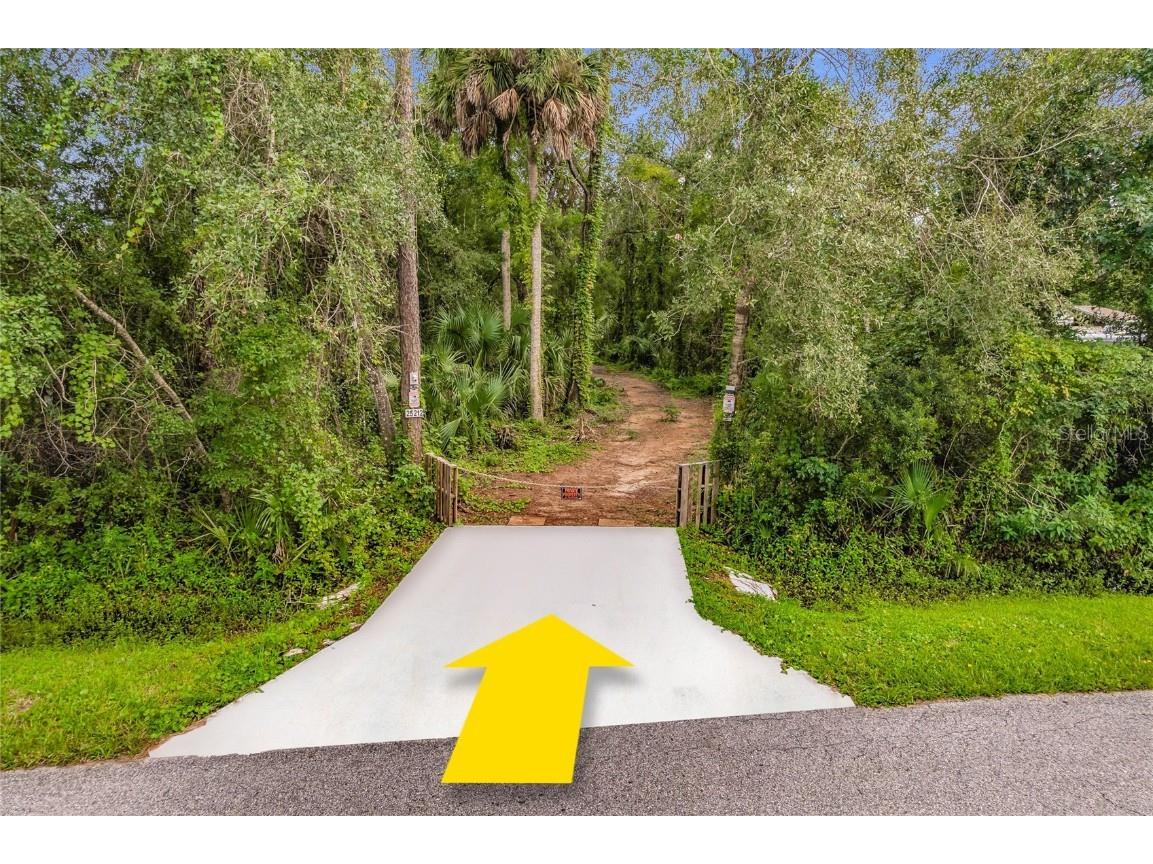 25212 Luke Street Christmas FL 32709 O6343358 image4