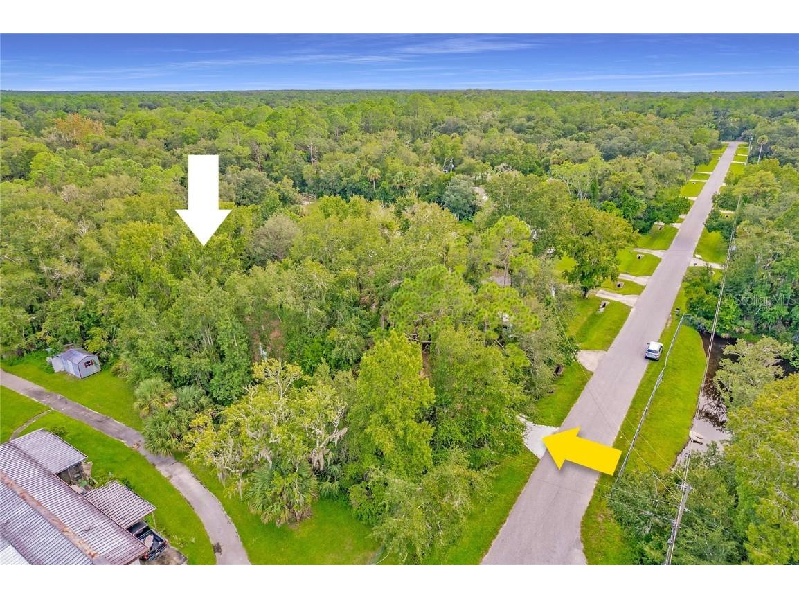 25212 Luke Street Christmas FL 32709 O6343358 image6