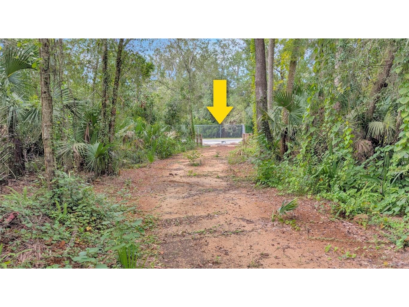 25212 Luke Street Christmas FL 32709 O6343358 image7