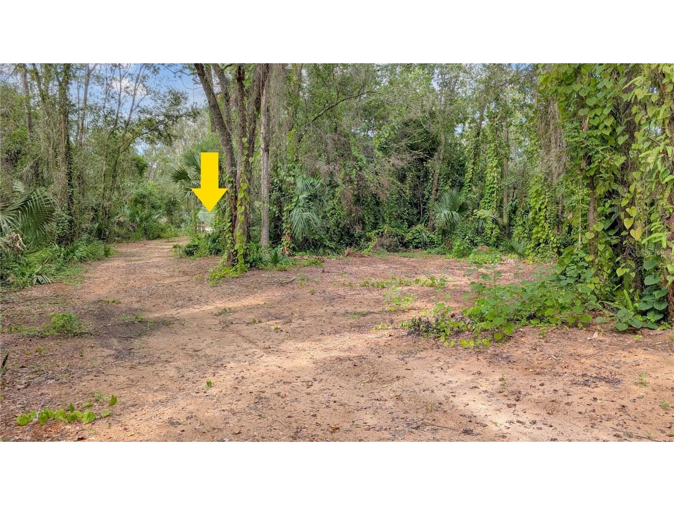 25212 Luke Street Christmas FL 32709 O6343358 image8