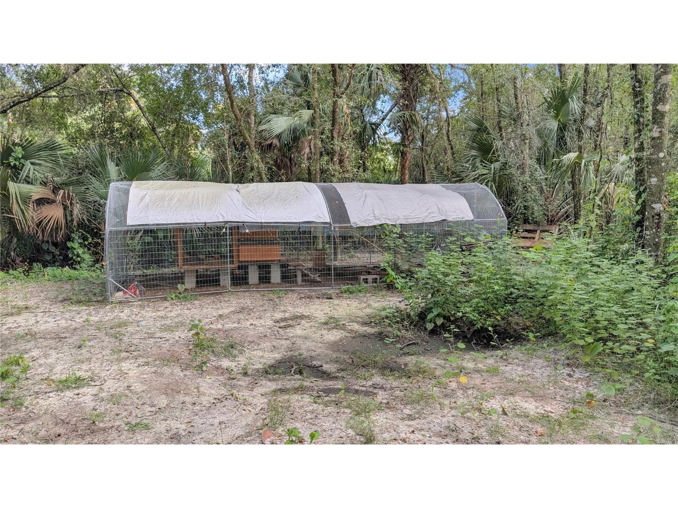 25212 Luke Street Christmas FL 32709 O6343358 image9