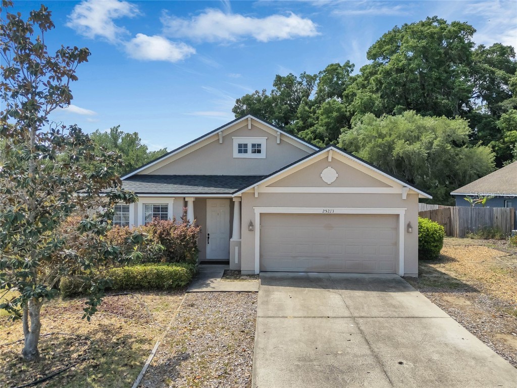 25213 Ironwedge Drive Sorrento FL 32776 O6195100 image1