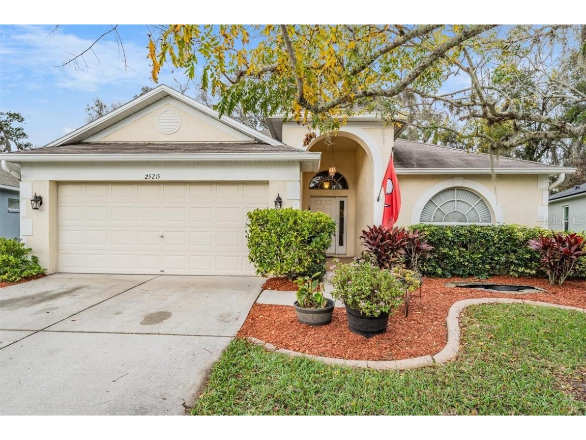 25215 Geddy Drive Land O Lakes FL 34639 U8227373 image1