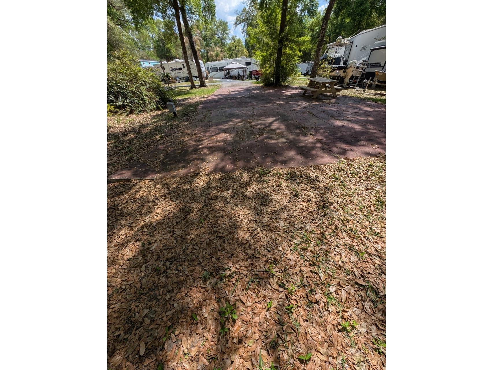 25215 NE 142nd Street Salt Springs FL 32134 - LITTLE LAKE KERR OM721813 image3